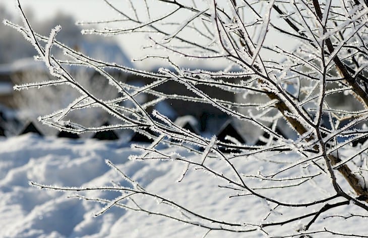 Январь айында айрым күндөрү аба ырайы айрым учурда +16 °C чейин ысып, кээде -27 °C чейин муздайт.