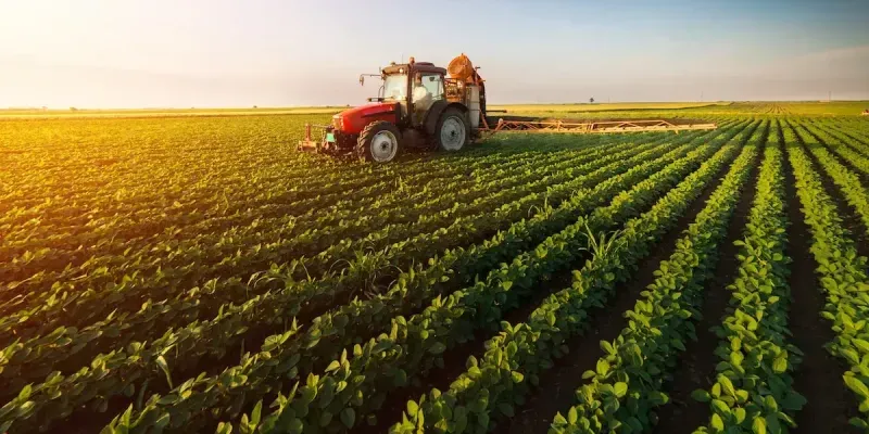 Быйыл агроөнөр жай комплексине 40 млрд сомдон ашык каражат бөлүндү