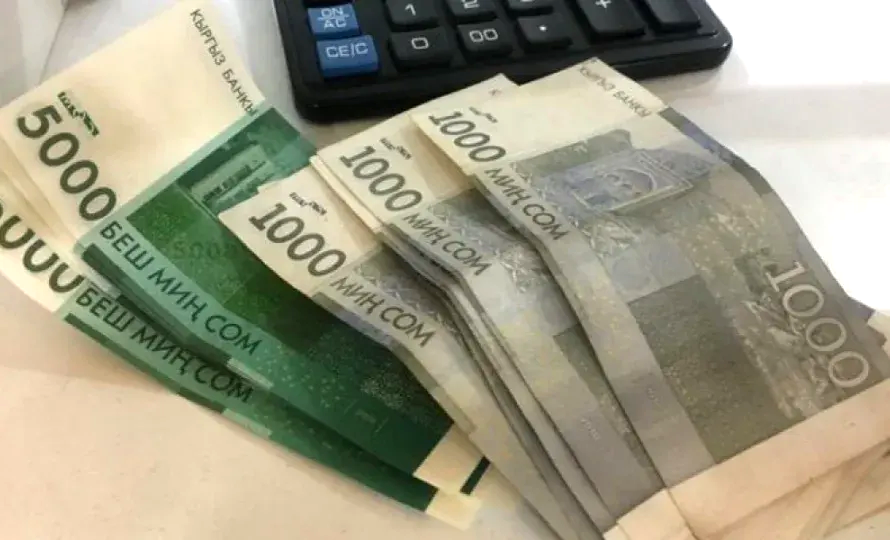 ЕАЭБ алкагында эмгек мигранттарына пенсиялар чектелүүдө