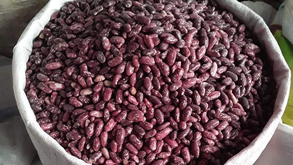 Таласта төө буурчактан башка өсүмдүктөрдү да айдоо сунушталды