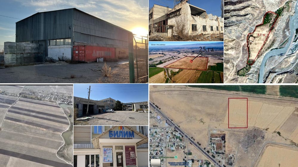 Мамлекетке 959 объект, 3 300 гектар жер кайтарылды – С.Жапаров