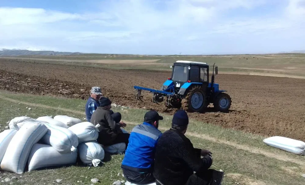 Дыйкандык чарбалардын укуктук статусу өзгөртүлөбү?