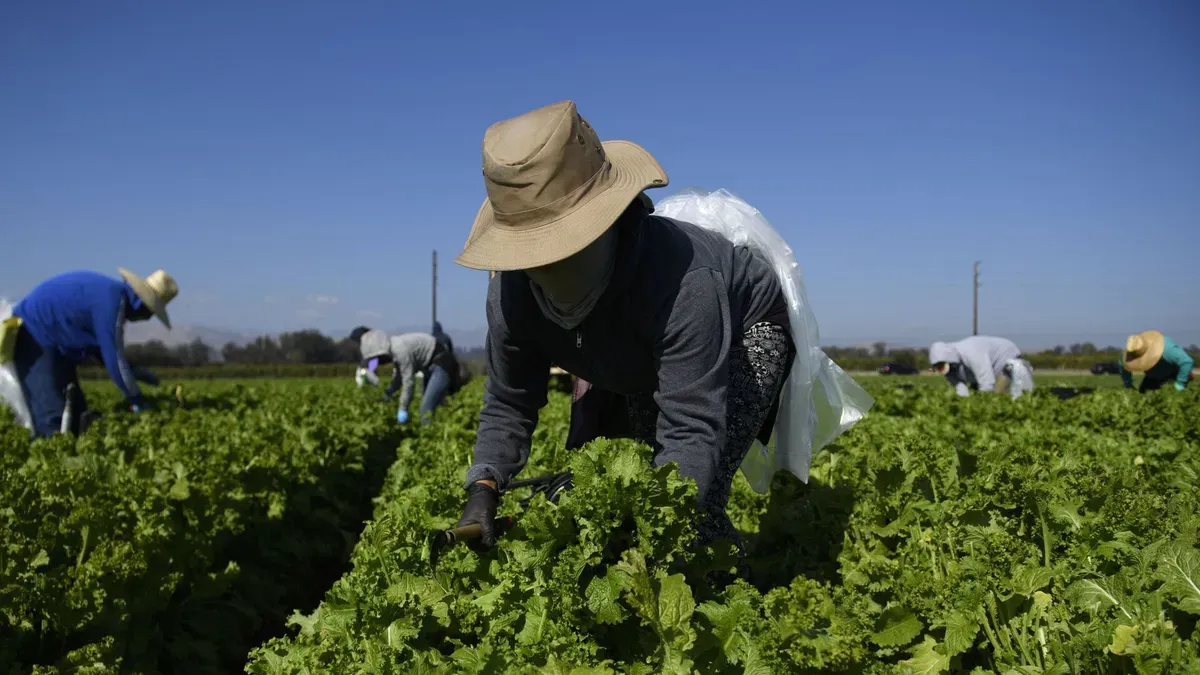 Кадамжайда фермерлерди  тейлөө борбору ачылды