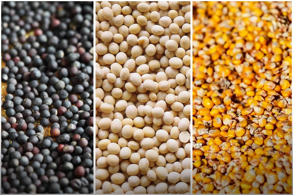 Кайсы товарлар КНСтан бошотулат?