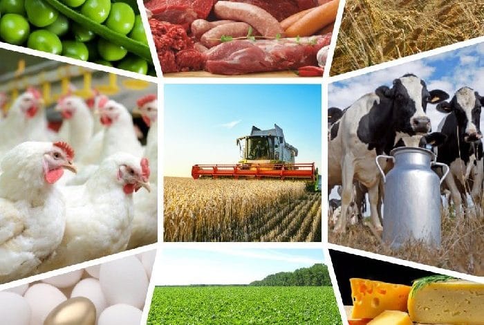 Кыргызстанда 5 жылда 2 трлн сомдук айыл чарба продукциясы өндүрүлгөн