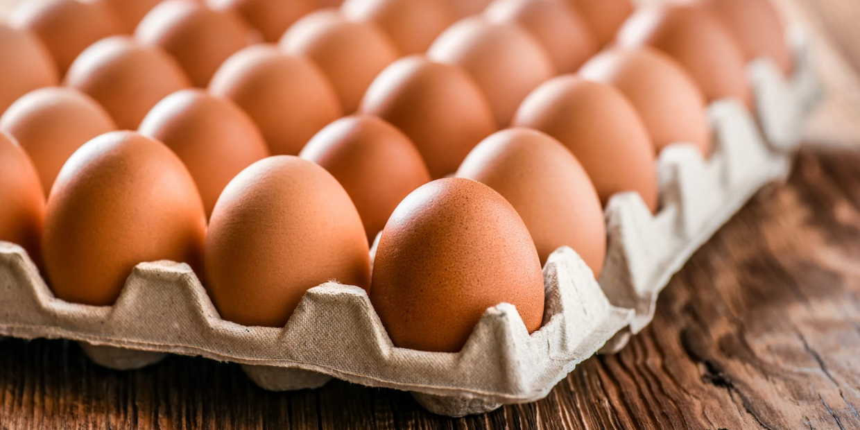 Жумуртка баасы эмне үчүн өсүүдө? Монополияга каршы кызмат жыйын өткөрдү