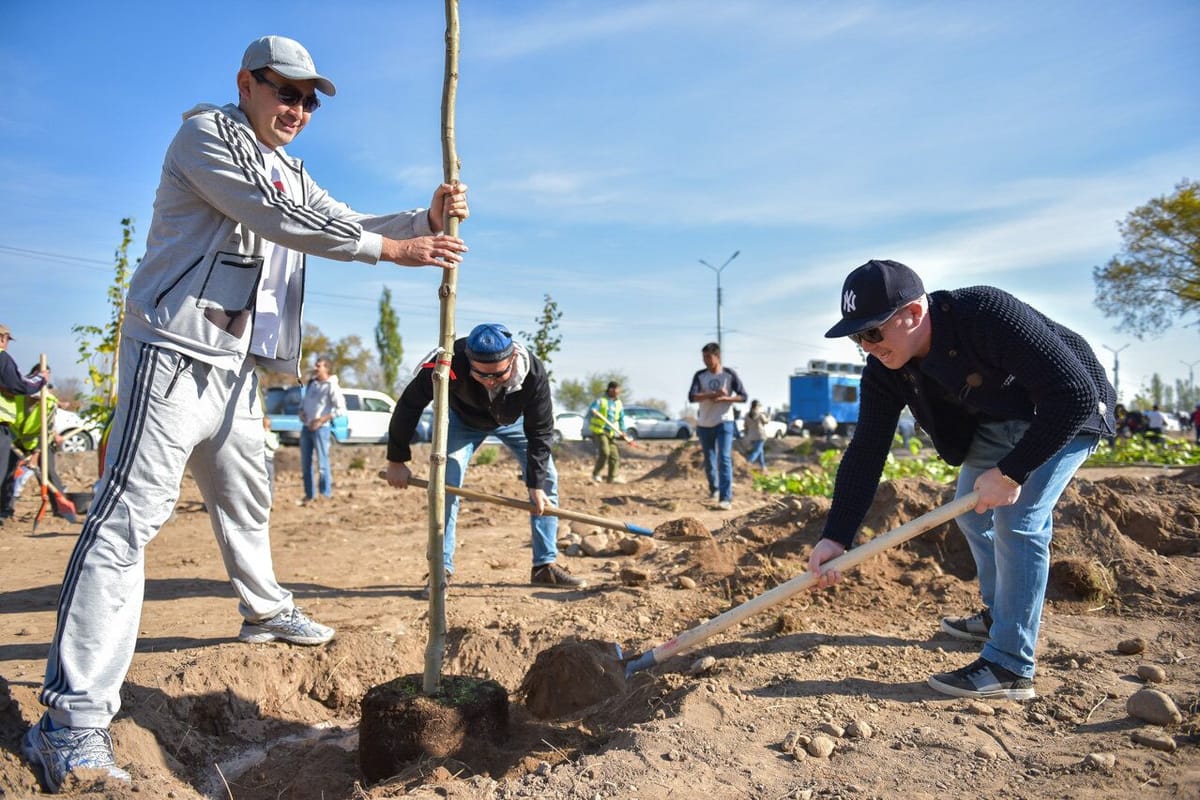 Кыргызстанда 4 жылда 29,5 млн көчөт отургузулган