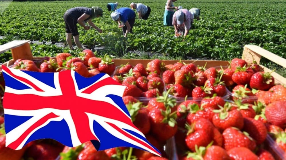 ЖИОБ 2025-жылы 19,5 миң адамды сыртка чыгарган