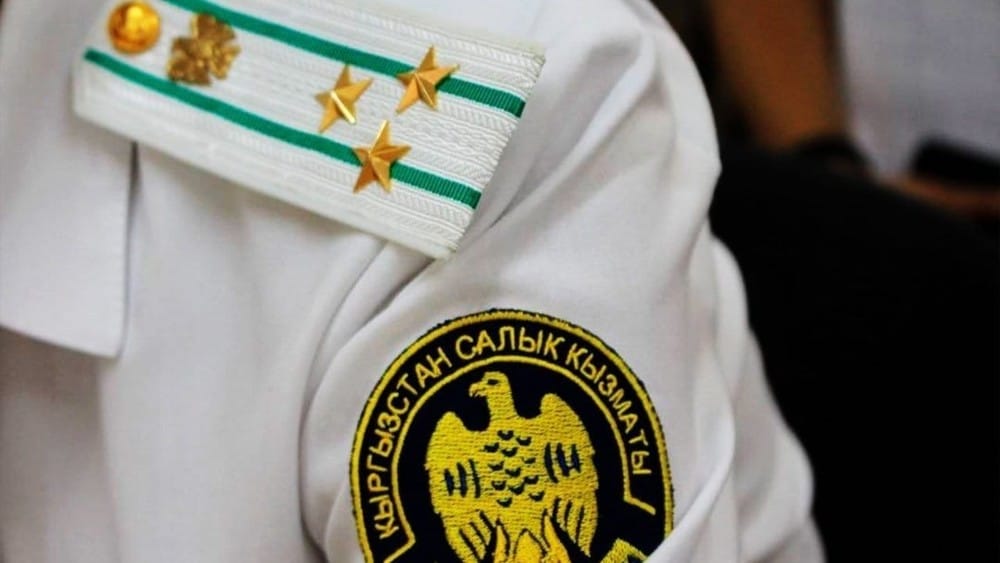 Салык органдарынын туура эмес аракеттери боюнча кантип, кайда арызданса болот?