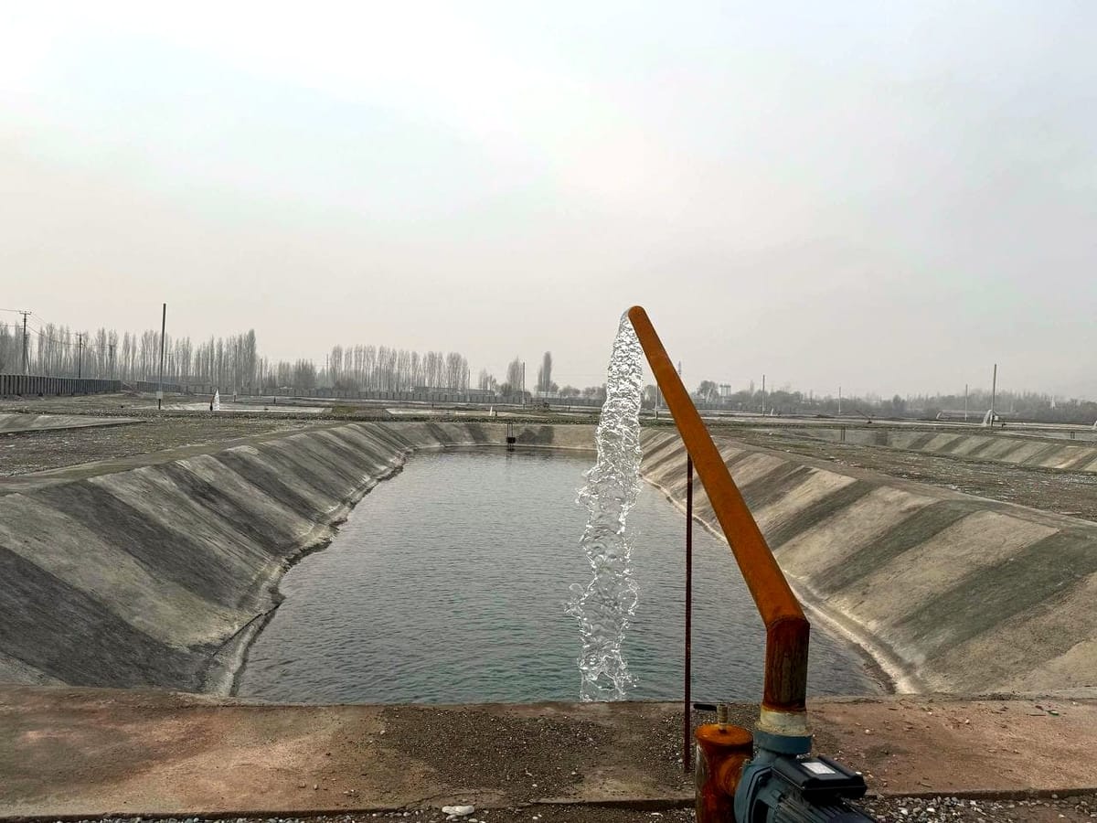 Жалал-Абадда 11,8 млн долларлык балык чарба комплекси курулууда