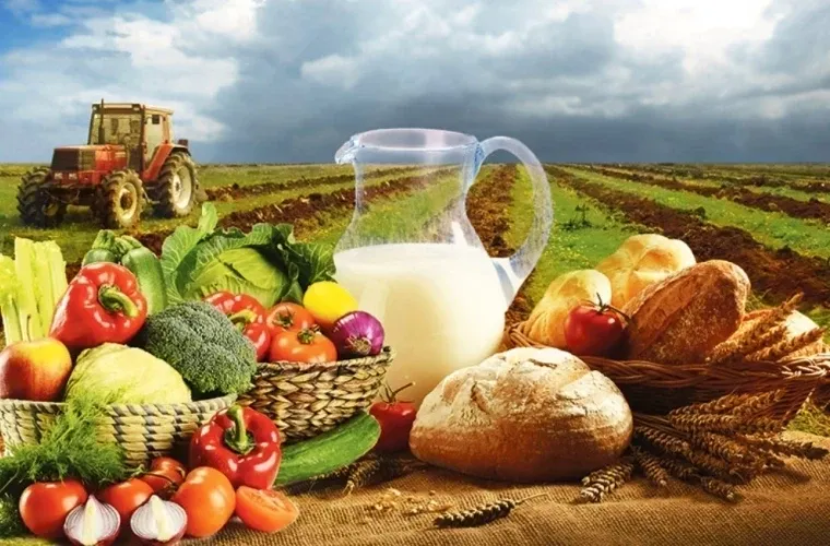 Эки айда айыл чарба продукциясы 29,8 млрд сомго жетти