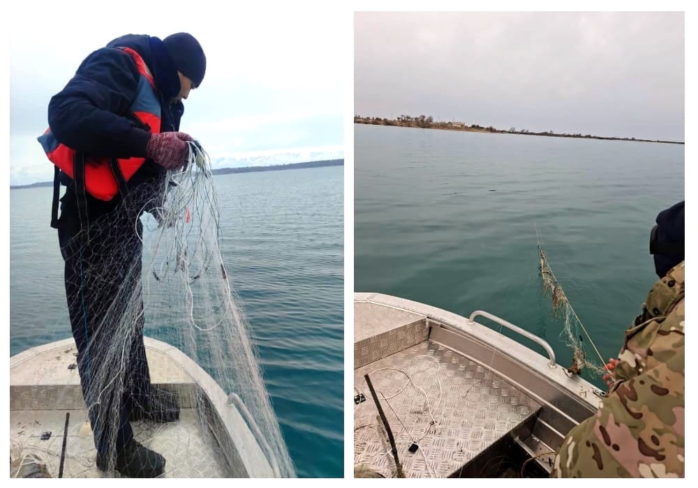 Ысык-Көлдө 400 метр мыйзамсыз балык тору алынды