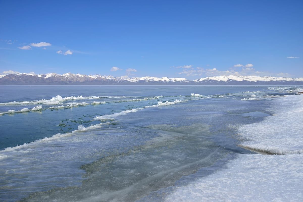 Соң-Көлдө мыйзамсыз балык уулоо катталган жок