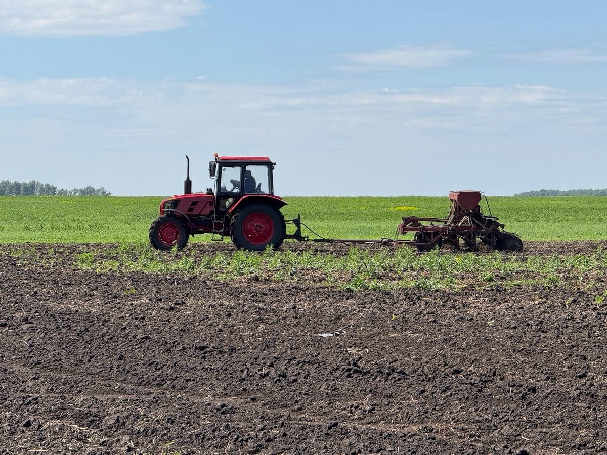 Өлкөдө 1 250 миң гектар жерге айыл чарба өсүмдүктөрүн себүү пландалууда