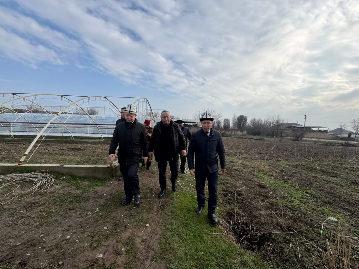 Базар-Коргондо 200 тонна мөмө-жемиш сактоочу кампа пайдаланууга даяр