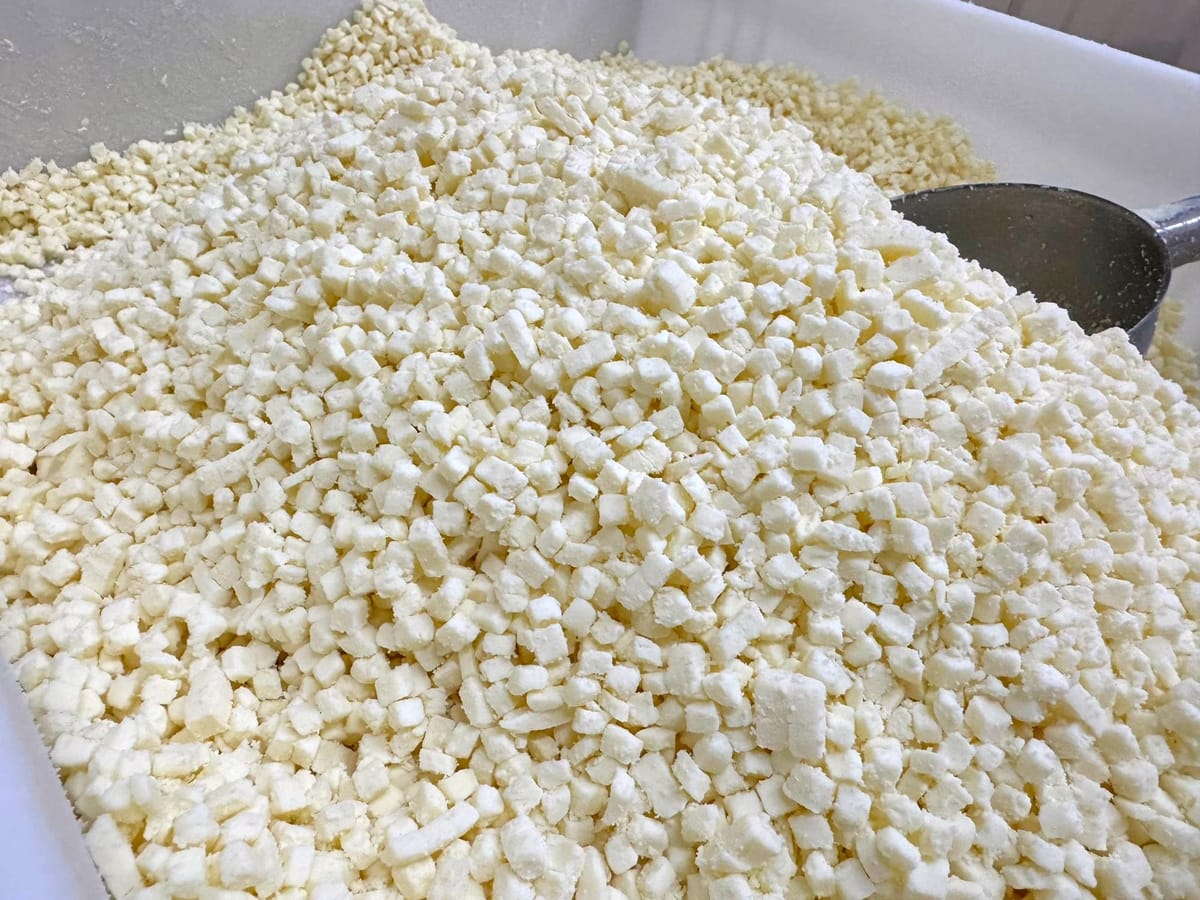 Токмокто органикалык сыр өндүргөн заманбап ишкана иштеп жатат