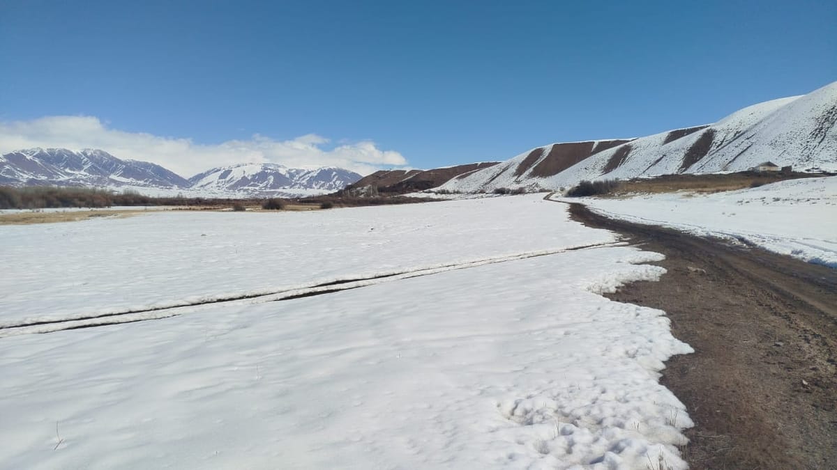 Жумгалда 2 гектар жер мамлекетке кайтарылды