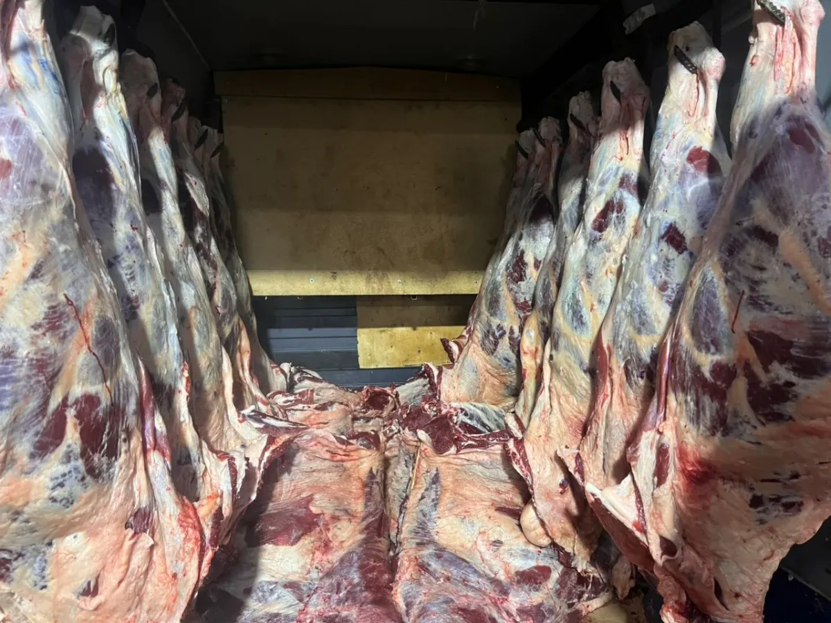 Эт эмнеге  кымбат, аны кантип арзандатса болот?