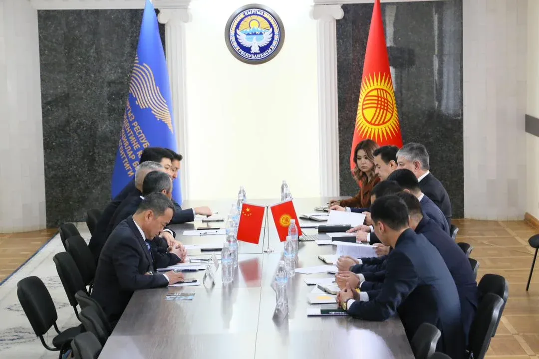 Кытай компаниясы Кыргызстан менен кызматташууга кызыкдар экенин билдирди