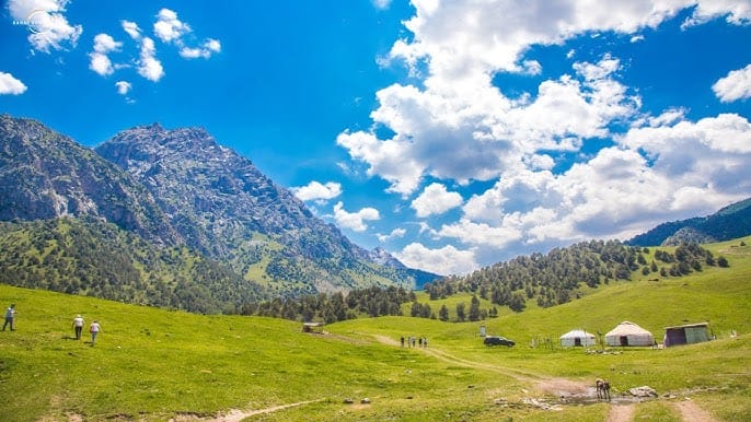 Нарын облусунда 104 гектар жер мыйзамсыз ижарага берилген