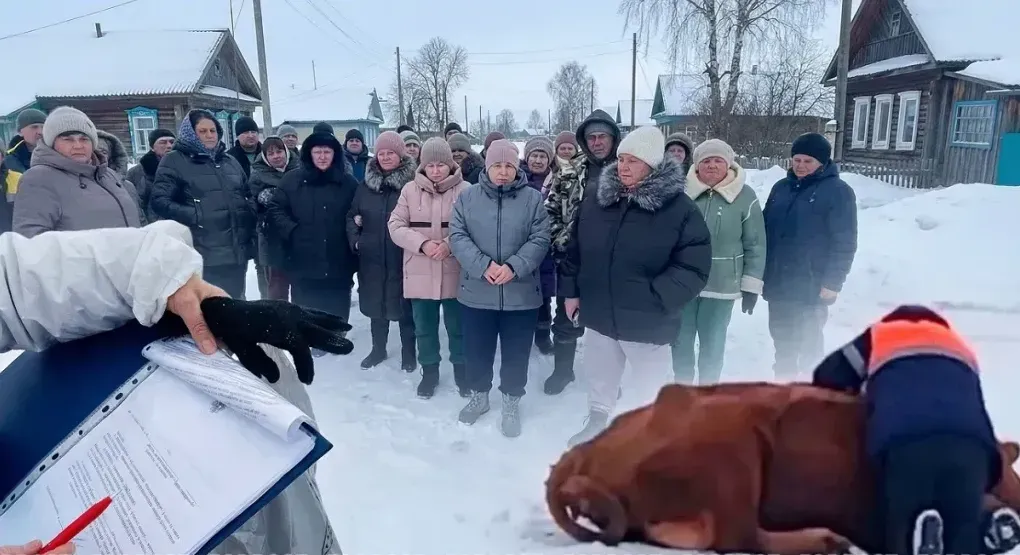 Россияда малдын массалык түрдө союлушу элдин тынчын алууда
