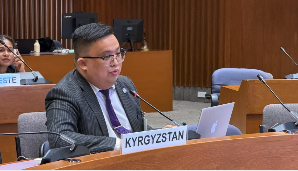 Кыргызстандын өкүлү эл аралык соода комитетинде вице-төрага болуп шайланды
