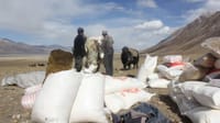 Кыргызстан Ооганстанга 111 тонна гуманитардык жардам көрсөттү изображение публикации