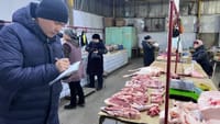 Таласта эттин баасы туруктуу изображение публикации