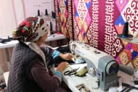 Эмгек министри Гүлнара Баатырова Чүй облусундагы социалдык контракттын катышуучуларына барды изображение публикации