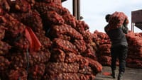 2024-жылы фермерлер 7 млрд сомго каржыланат изображение публикации