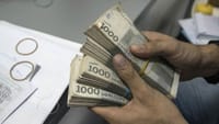 2024-жылы Жаратылыш ресурстар министрлигине 2 млрд сом бөлүнөт изображение публикации