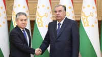 Жээнбек Кулубаев Тажикстандын президенти менен жолукту изображение публикации