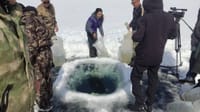 Соң-Көлдө 4.8 млн даана сига-лудога балыгынын чабактары кое берилди изображение публикации