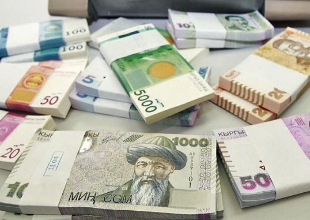 Токойлорду коргоого жана көчөт тигүүгө 49.9 млн сом бөлүндү