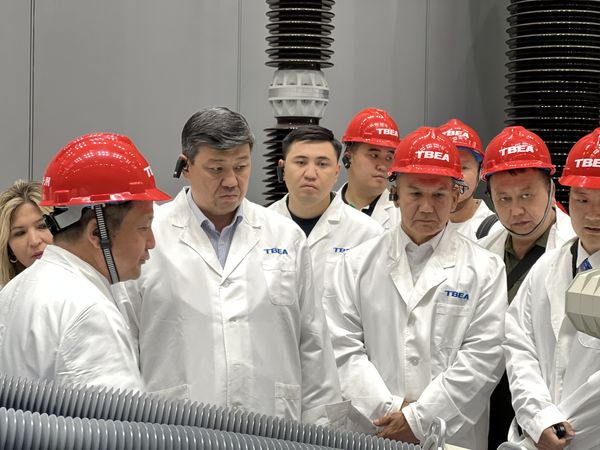 Минкаб кытайлык ТВЕА менен энергетика тармагындагы кызматташууну талкуулады