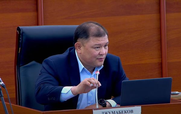 Дастан Жумабеков «Кичи-Капка» өткөрмө бекетин ачууну сунуштады
