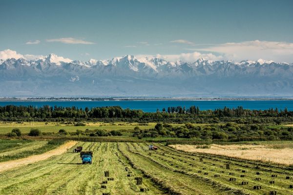 2023-жылы агроөнөр жай комплекси 6.8 млрд сомго каржыланды