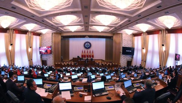 Депутаттар грузиялык кесиптештери менен жолугушту