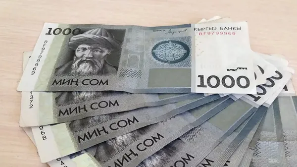 Эсептөө палатасы Алай районунун бюджетинде 6.6 млн сомдук мыйзам бузуулар аныктады