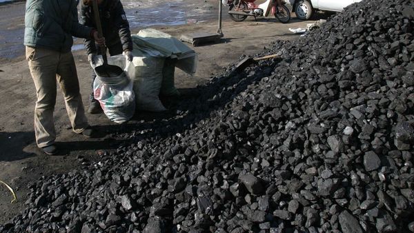 Бишкекте 4 700 сомдон көмүр  сатыла баштады – дареги, баасы