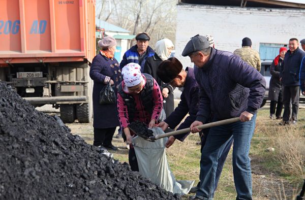 Ош облусунун районундорунда арзан көмүр саткан атайын базалар ачылат