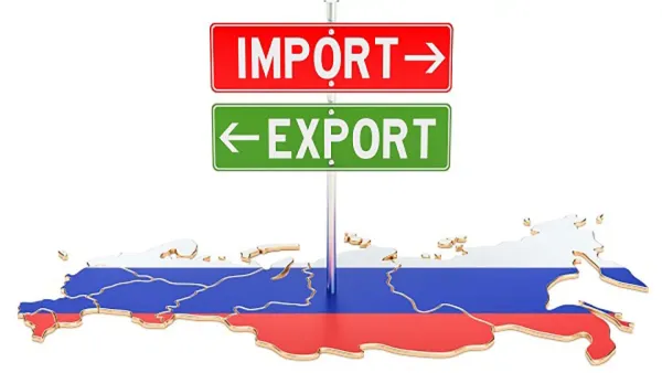 Жарым жылда Россиянын коңшу өлкөлөрдөн, анын ичинде Кыргызстандан импорттолгон товарларынын көлөмү 37%га өстү