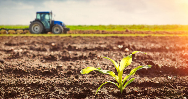 Топуракты изилдеген лабораториялар түшүмдү көбөйтүүгө шарт түзүүдө