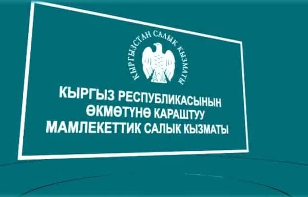 Президент салык мыйзамына өзгөртүүлөрдү киргизүү жөнүндө мыйзамына кол койду