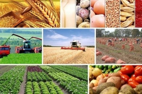 Өлкө айыл чарбасын каток 2026-жылга жылдырылды