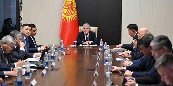 “Тамчы” инвестициялык аймагы түзүлөт