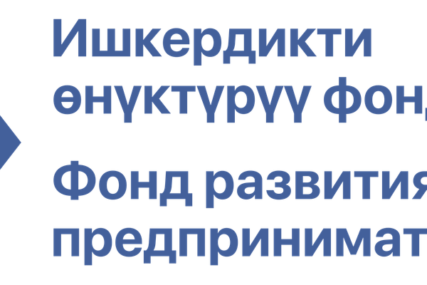 Насыялык колдоо программасына Аксы, Алай райондорунан катышуучулар жок