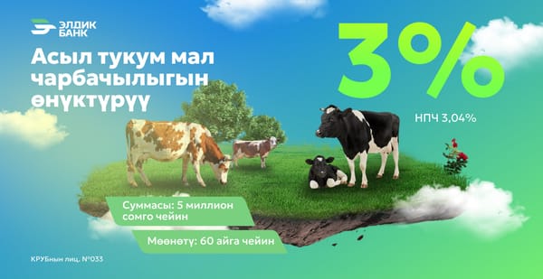 "Айыл Банк" ишкерлерге жеңилдетилген насыя сунуштады
