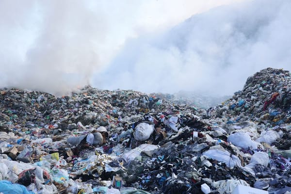 Жаратылышка быйыл 102,85 млн сом зыян келтирилген