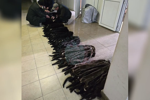 Норка терисин мыйзамсыз алып кирүү аракетине бөгөт коюлду